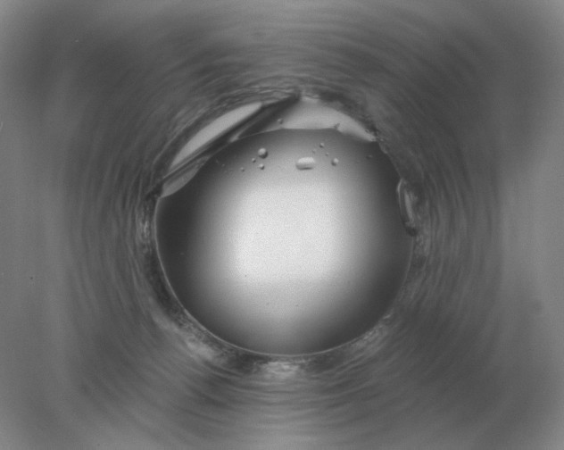 X0000078300176200611172157