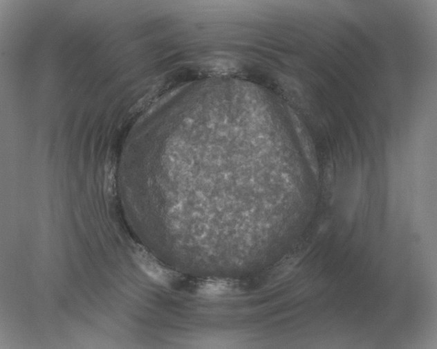 X0000078300177200611172157