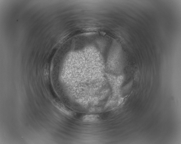 X0000078300179200611172157