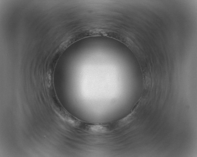 X0000078300183200611172158