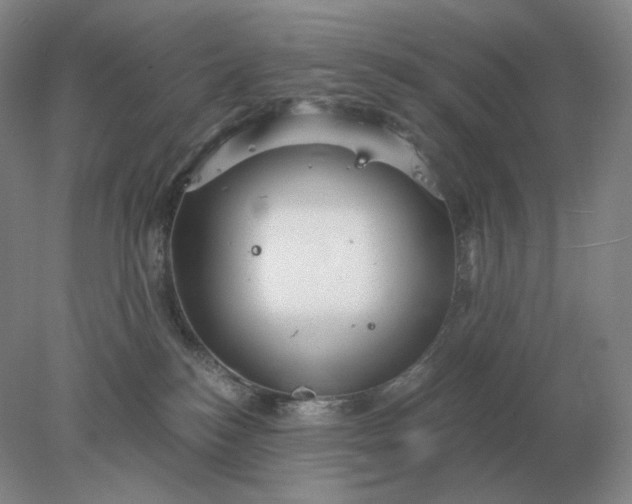 X0000078300184200611172158