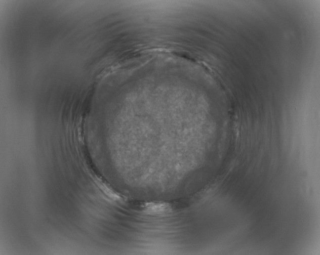 X0000078300185200611172158