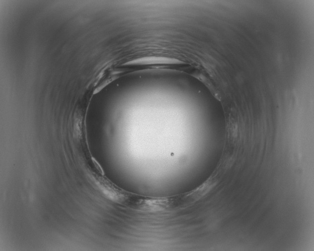 X0000078300188200611172158