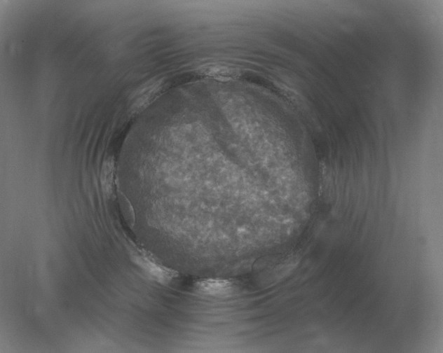 X0000078300189200611172158