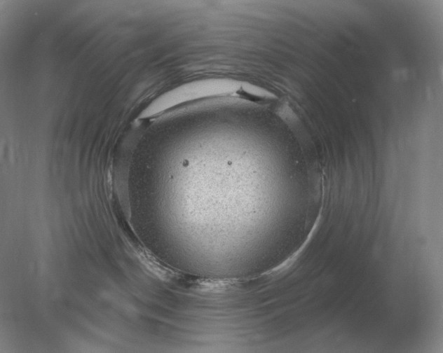 X0000078300190200611172158