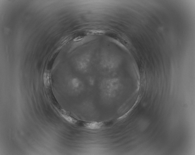 X0000078300191200611172158