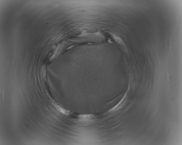 X0000078300192200611172158