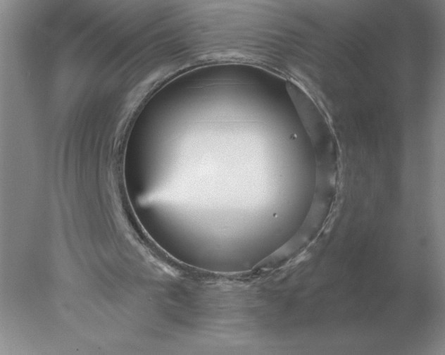 X0000078300193200611172157