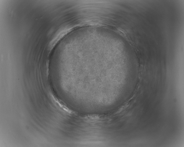 X0000078300194200611172157