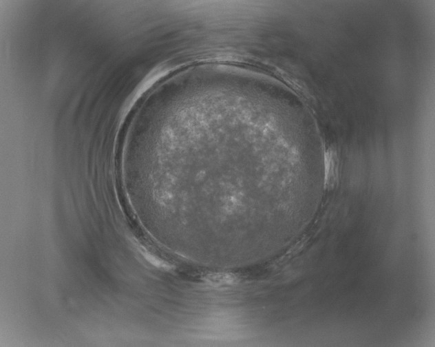 X0000078300195200611172157