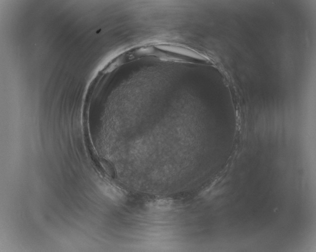 X0000078300196200611172157