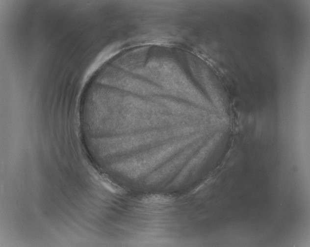 X0000078300198200611172157