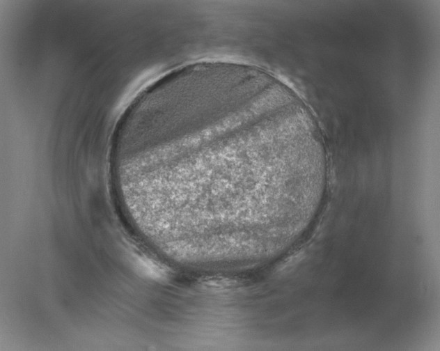 X0000078300199200611172157