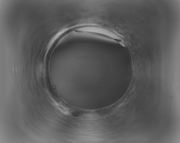 X0000078300200200611172157