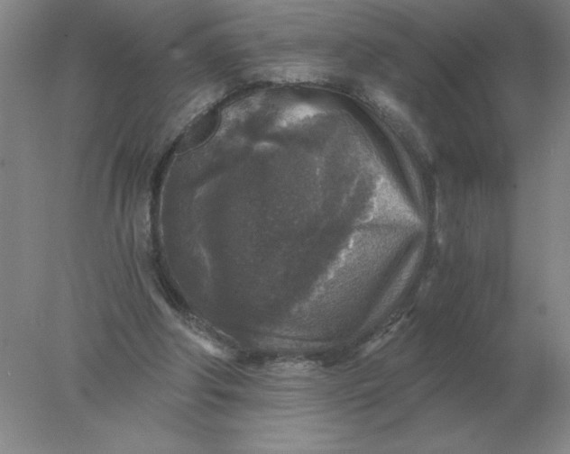 X0000078300202200611172157