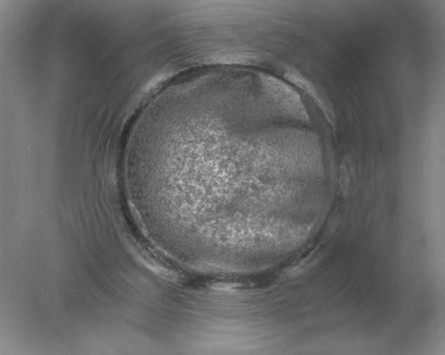 X0000078300203200611172157