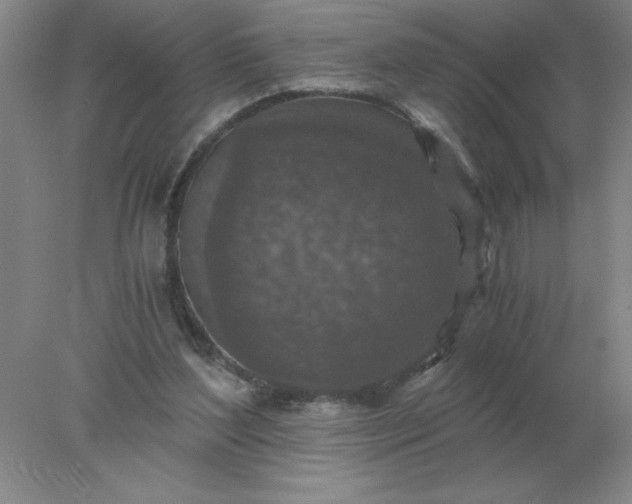 X0000078300204200611172157