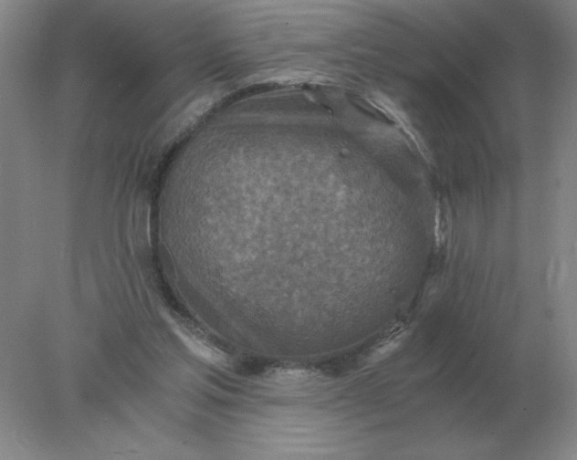 X0000078300205200611172157