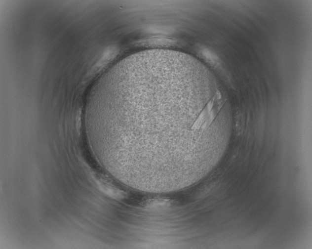 X0000078300206200611172157