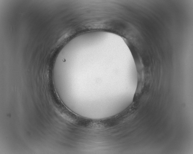 X0000078300207200611172157