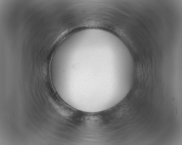 X0000078300208200611172157