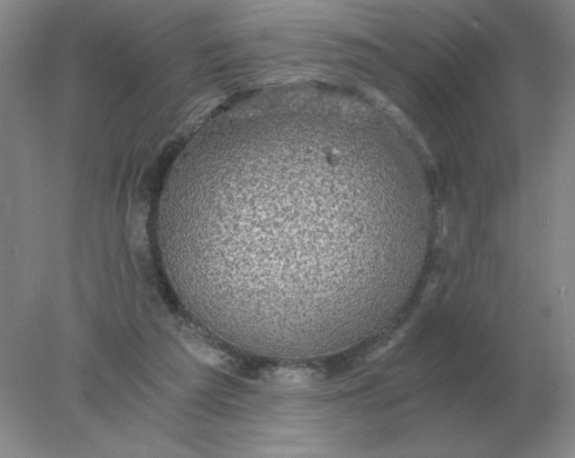 X0000078300209200611172157