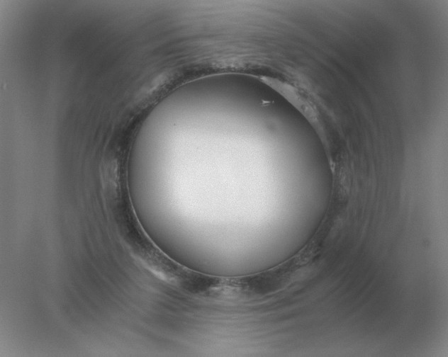 X0000078300211200611172157