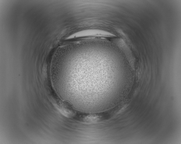 X0000078300213200611172157