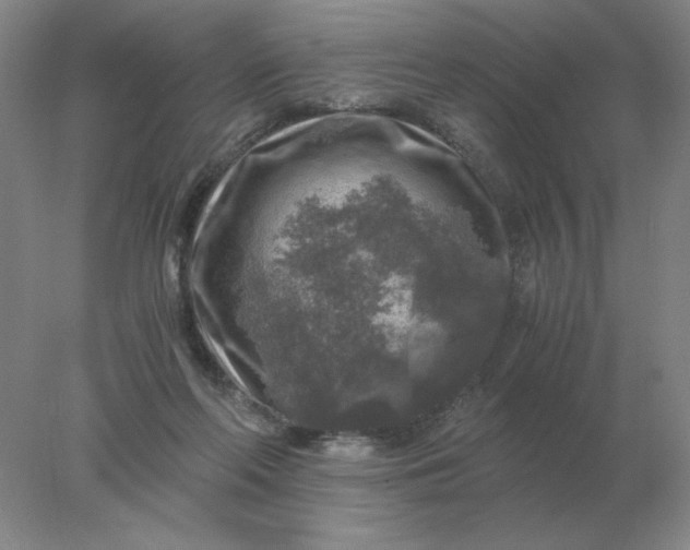 X0000078300214200611172157