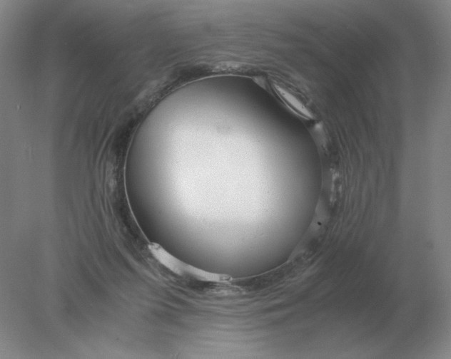 X0000078300215200611172157