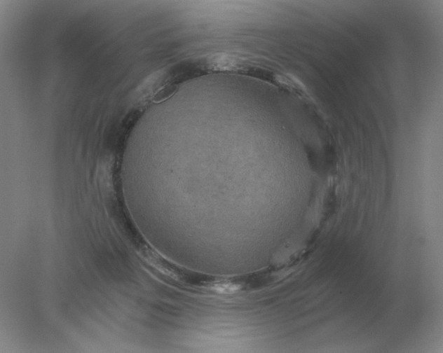 X0000078300217200611172156