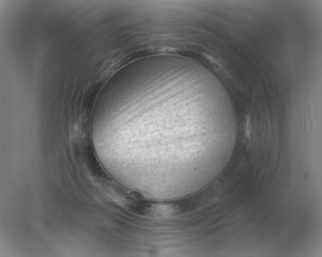 X0000078300218200611172156