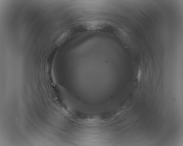 X0000078300219200611172156