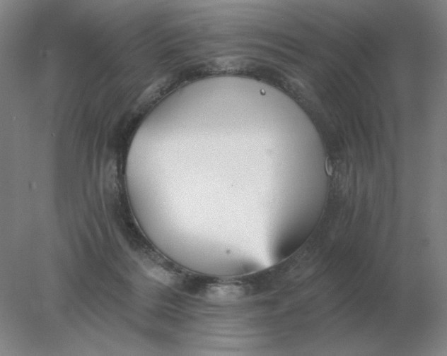 X0000078300220200611172156