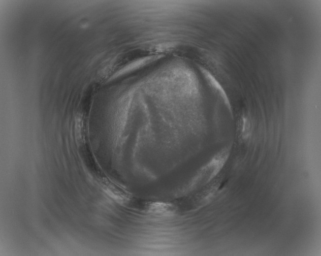 X0000078300222200611172156