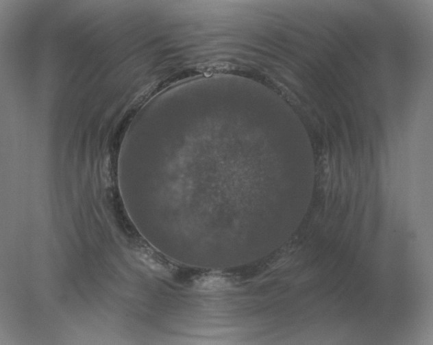 X0000078300224200611172156