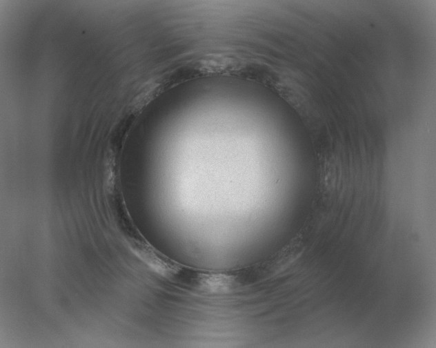 X0000078300226200611172156