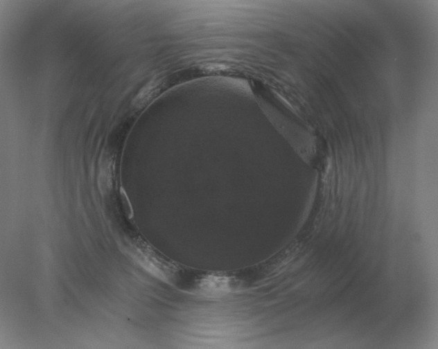 X0000078300227200611172156