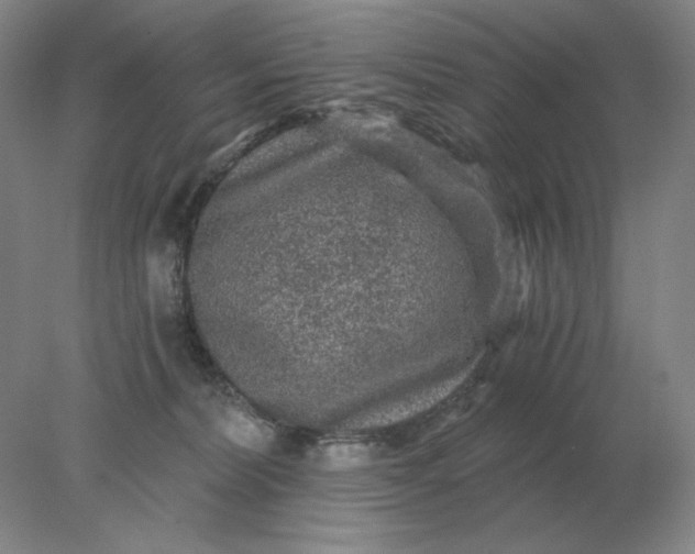 X0000078300228200611172156