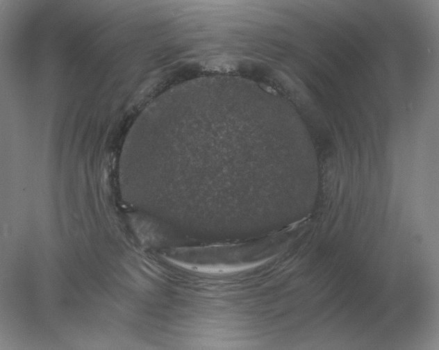 X0000078300229200611172156