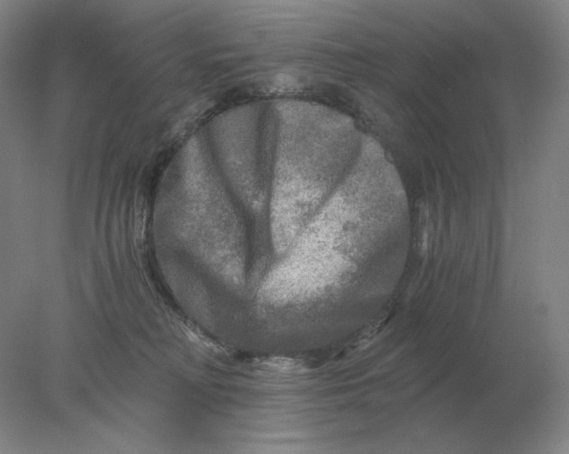 X0000078300230200611172156