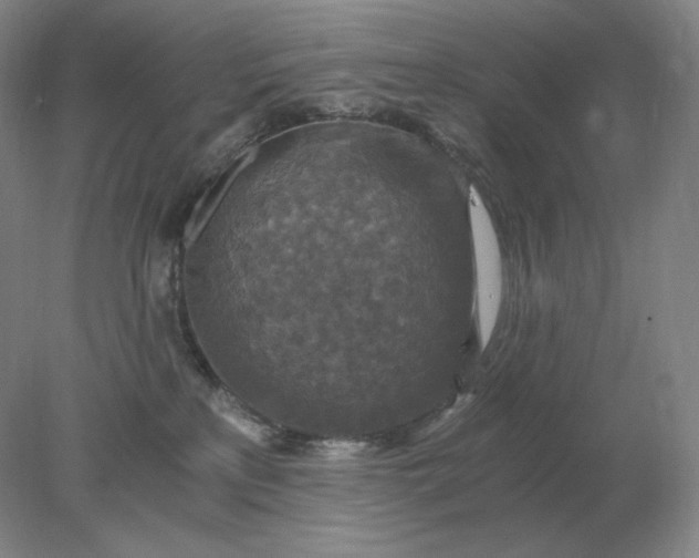 X0000078300233200611172156