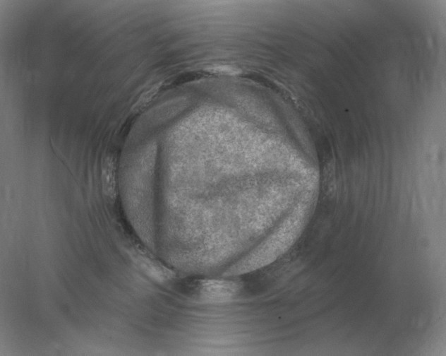 X0000078300234200611172156