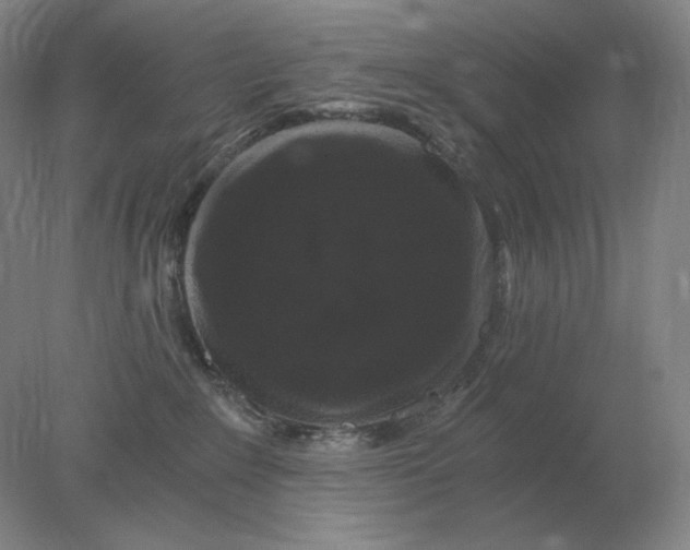 X0000078300235200611172156