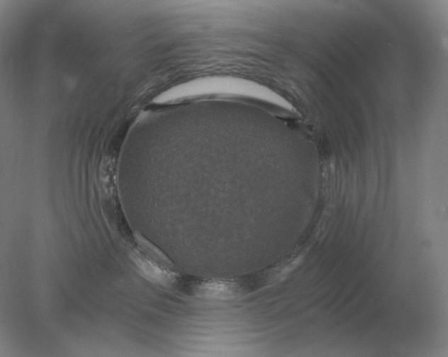 X0000078300237200611172156