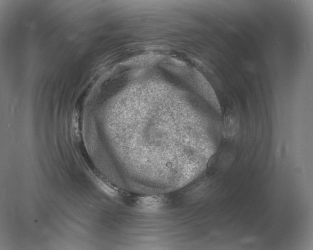 X0000078300238200611172156