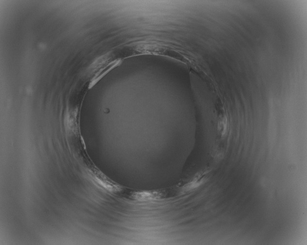 X0000078300239200611172156