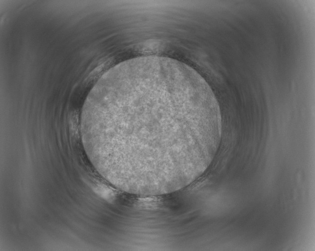 X0000078300240200611172156