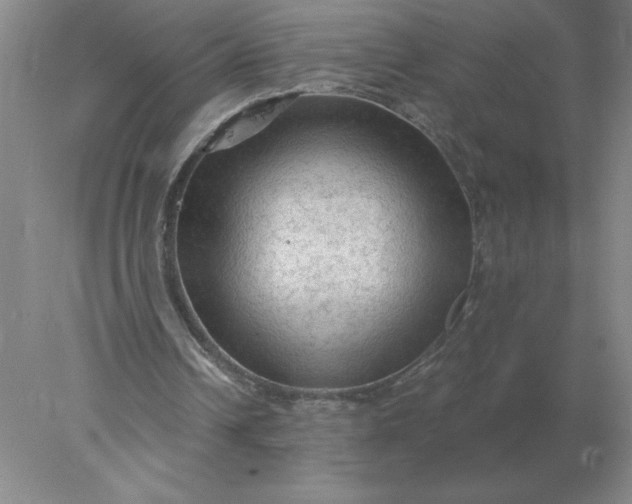 X0000078300242200611172155