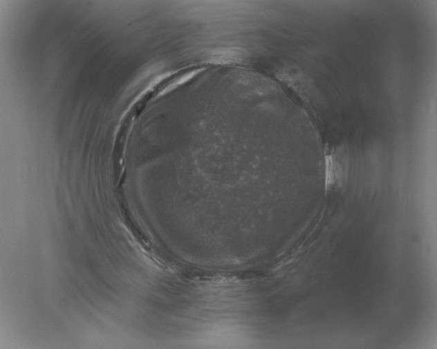 X0000078300243200611172155